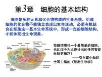 人教版 (新课标)必修1《分子与细胞》第1节 细胞膜──系统的边界图文ppt课件