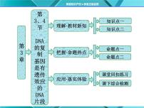 人教版 (新课标)必修2《遗传与进化》第4节 基因是有遗传效应的DNA片段示范课ppt课件