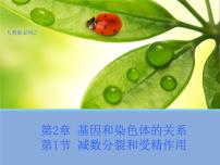 高中生物人教版 (新课标)必修2《遗传与进化》第二章 基因和染色体的关系第1节 减数分裂和受精作用一 减数分裂教学演示ppt课件