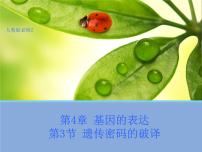 高中生物人教版 (新课标)必修2《遗传与进化》第3节 遗传密码的破译（选学）课文配套课件ppt