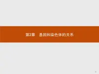 人教版 (新课标)必修2《遗传与进化》本节综合示范课课件ppt