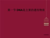 人教版 (新课标)必修2《遗传与进化》第三章 基因的本质第1节 DNA是主要的遗传物质说课课件ppt