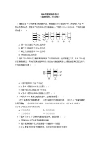 高中生物人教版 (2019)必修2《遗传与进化》第3节 DNA的复制同步测试题