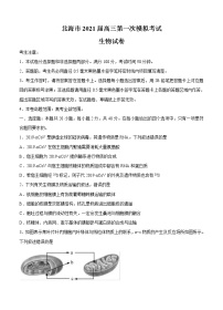 广西北海市2021届高三第一次模拟考试 生物 (含答案)