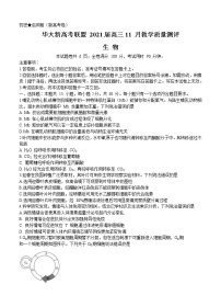 湖北省华大新高考联盟2021届高三11月教学质量测评（新高考）生物 (含答案)