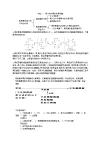 人教版 (新课标)选修1《生物技术实践》课题1 果酒和果醋的制作教学设计