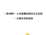 高中生物浙科版选修1《生物技术概述》第二部分   酶的应用实验4  果汁中的果胶和果胶酶作业课件ppt