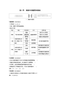 人教版 (2019)必修1《分子与细胞》第3节 细胞中的糖类和脂质教学设计