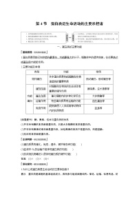 人教版 (2019)必修1《分子与细胞》第4节 蛋白质是生命活动的主要承担者教学设计