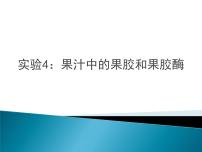 高中生物人教版 (新课标)选修1《生物技术实践》课题1 果酒和果醋的制作教学演示课件ppt