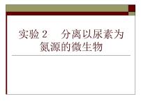 高中生物人教版 (新课标)选修1《生物技术实践》专题1 传统发酵技术的应用课题1 果酒和果醋的制作课文内容课件ppt