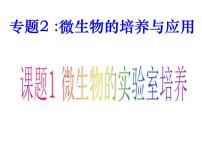 高中生物人教版 (新课标)选修1《生物技术实践》课题1 微生物的实验室培养图片课件ppt