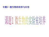 高中生物人教版 (新课标)选修1《生物技术实践》课题1 微生物的实验室培养课文配套课件ppt