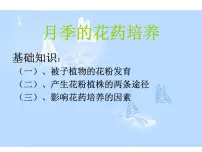 生物选修1《生物技术实践》课题2 月季的花药培养教课内容ppt课件