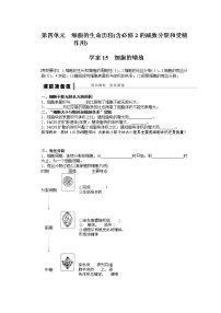 高考生物大一轮复习学案+作业第四单元 学案15细胞的生命历程