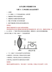 高考试题分项版解析生物 专题09 人和动物生命活动的调节（解析版）