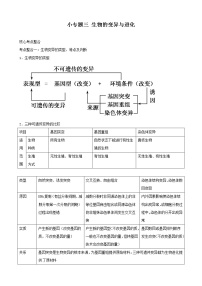 高三生物复习学案：专题4 遗传、变异与进化3 生物的变异与进化