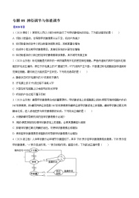 高考生物（2011~2020）真题专项练习   专题08 神经调节与体液调节 （原卷版）