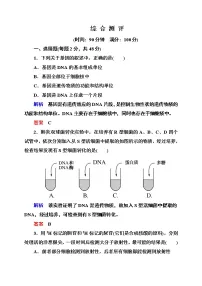 新人教版高中生物必修二《遗传与进化》综合测评
