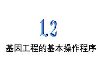 高中生物人教版 (新课标)选修3《现代生物科技专题》1.2 基因工程的基本操作程序教学ppt课件