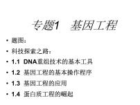 高中生物人教版 (新课标)选修3《现代生物科技专题》1.1 DNA重组技术的基本工具多媒体教学ppt课件