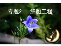 高中生物人教版 (新课标)选修3《现代生物科技专题》本节综合图片课件ppt