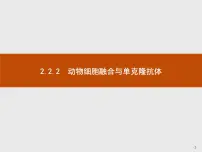 人教版 (新课标)选修3《现代生物科技专题》2.2.2 动物细胞融合与单克隆抗体背景图ppt课件