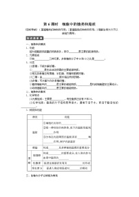 生物必修1《分子与细胞》第4节 细胞中的糖类和脂质测试题