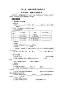 人教版 (新课标)必修1《分子与细胞》一 酶的作用和本质习题