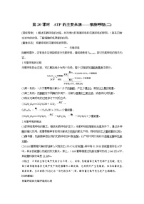 人教版 (新课标)必修1《分子与细胞》第3节 ATP的主要来源──细胞呼吸同步训练题