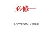 高考生物总复习全面图解-PPt.pptx