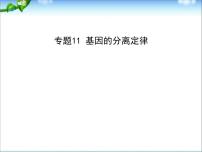 高考生物一轮复习课件：专题11_基因的分离定律