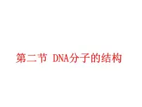 2020-2021学年第2节 DNA分子的结构说课ppt课件
