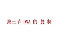 高中生物人教版 (新课标)必修2《遗传与进化》第3节 DNA的复制图文ppt课件