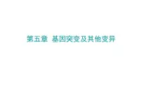 生物必修2《遗传与进化》第五章 基因突变及其他变异第1节 基因突变和基因重组示范课课件ppt