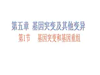高中生物人教版 (新课标)必修2《遗传与进化》第1节 基因突变和基因重组评课课件ppt