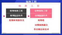 人教版 (新课标)选修3《现代生物科技专题》2.2.2 动物细胞融合与单克隆抗体授课ppt课件