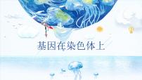 高中生物人教版 (2019)必修2《遗传与进化》第2节 基因在染色体上说课ppt课件