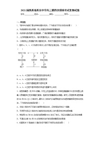 2021届陕西省西安中学高三第四次模拟考试生物试题（word版 含答案）