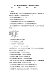 2021届吉林省白山市高三联考理综生物试题（word版 含答案）