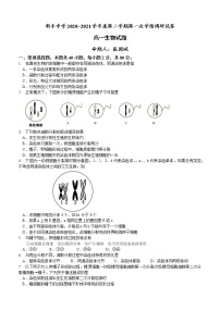 江苏省盐城市大丰区新丰中学2020-2021学年高一下学期第一次质量检测生物试题