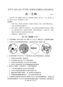 江苏省苏州市2020-2021学年高一上学期学业质量阳光指标调研生物试题（扫描版）