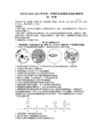 江苏省苏州市2020-2021学年高一第一学期学业质量阳光指标调研考试生物试卷 word