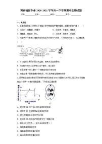 河南省新乡市2020-2021学年高一下学期期中生物试题(word版 含答案)
