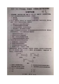 江苏省如皋市2020-2021学年高一上学期期末考试生物试题（无答案，图片版）