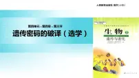 高中生物人教版 (新课标)必修2《遗传与进化》第3节 遗传密码的破译(选学)教学ppt课件