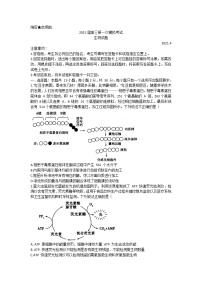 山东省实验中学2021届高三下学期4月第一次模拟考试（一模）生物试题+答案