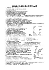 湖南省娄底市娄星区2020-2021学年高二下学期期中考试生物试题（word版 含答案）