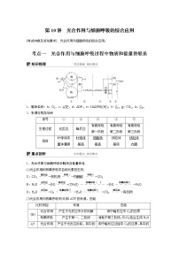 高考生物专题复习第10讲　光合作用与细胞呼吸的综合应用