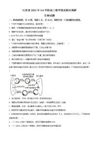 江苏省G4（苏州中学、盐城中学、扬州中学、常州中学）2021届高三上学期期末调研生物试题含解析